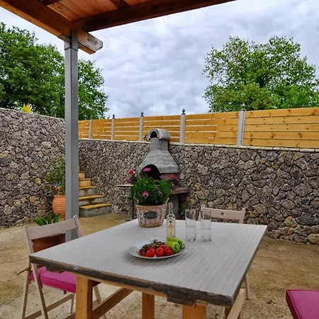 Zoi فيلة بيليكاس