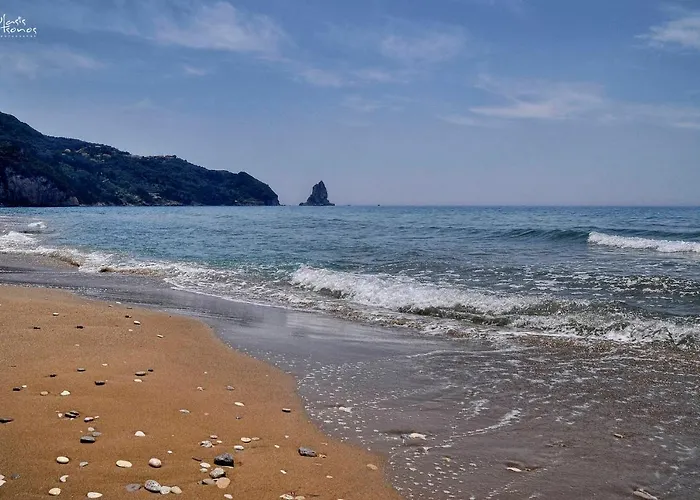 Zoi Πέλεκας
